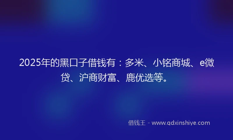 2025年的黑口子借钱有：多米、小铭商城、e微贷、沪商财富、鹿优选等。