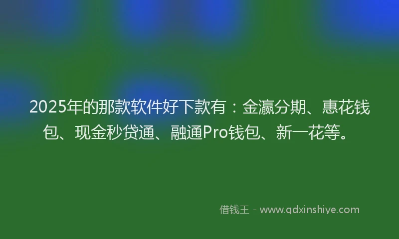 2025年的那款软件好下款有：金瀛分期、惠花钱包、现金秒贷通、融通Pro钱包、新一花等。