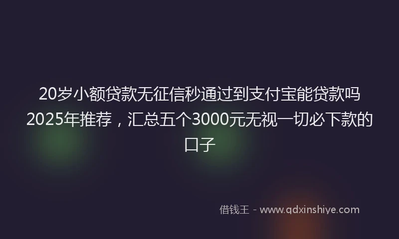 20岁小额贷款无征信秒通过到支付宝能贷款吗2025年推荐，汇总五个3000元无视一切必下款的口子