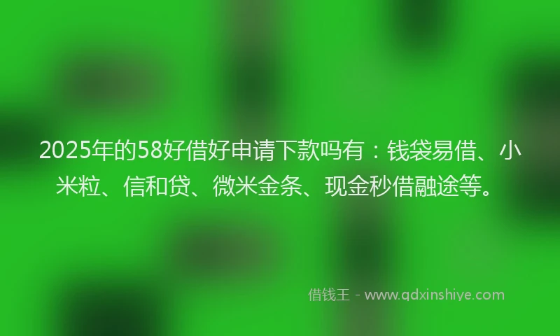 2025年的58好借好申请下款吗有：钱袋易借、小米粒、信和贷、微米金条、现金秒借融途等。