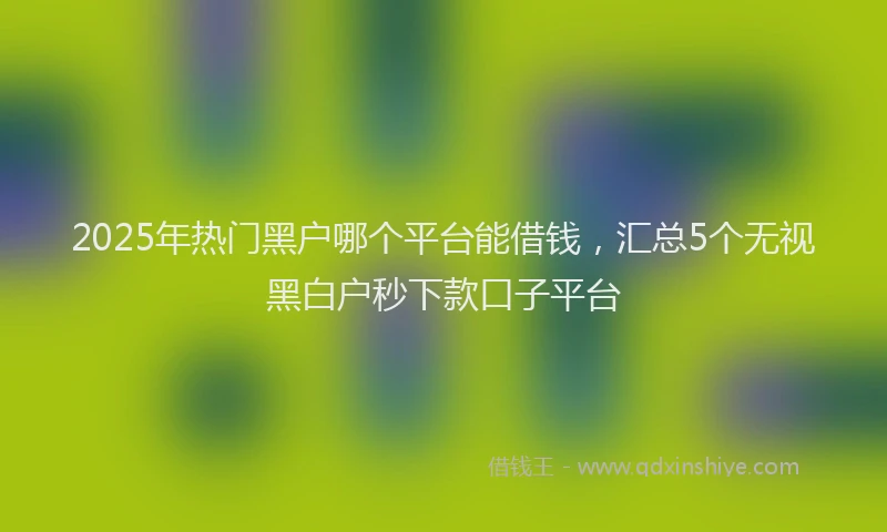 2025年热门黑户哪个平台能借钱，汇总5个无视黑白户秒下款口子平台