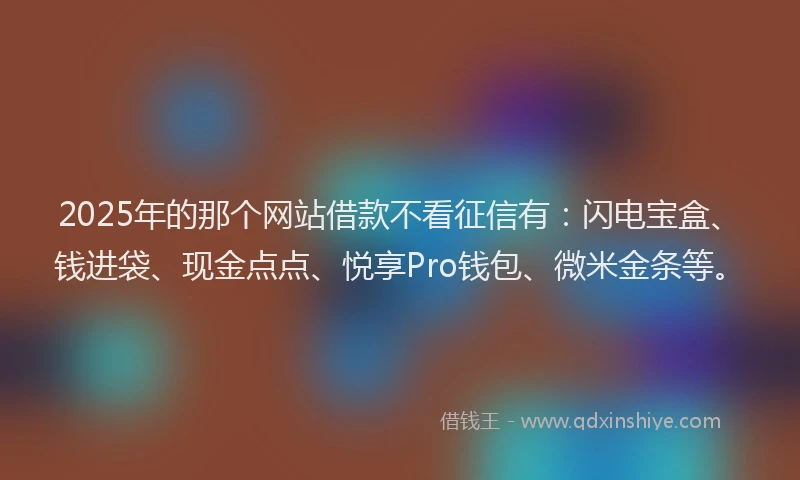 2025年的那个网站借款不看征信有：闪电宝盒、钱进袋、现金点点、悦享Pro钱包、微米金条等。