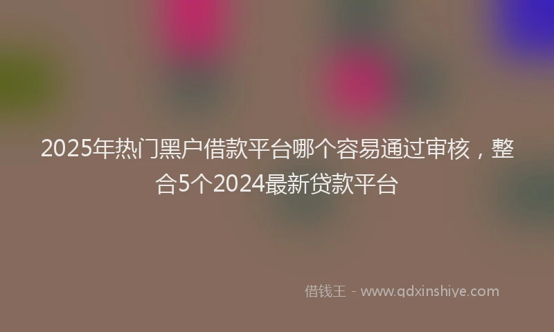 2025年热门黑户借款平台哪个容易通过审核，整合5个2024最新贷款平台