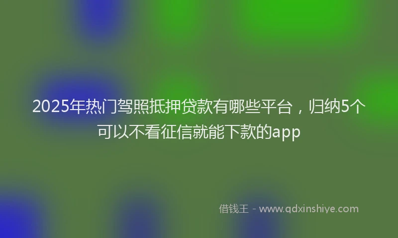 2025年热门驾照抵押贷款有哪些平台，归纳5个可以不看征信就能下款的app