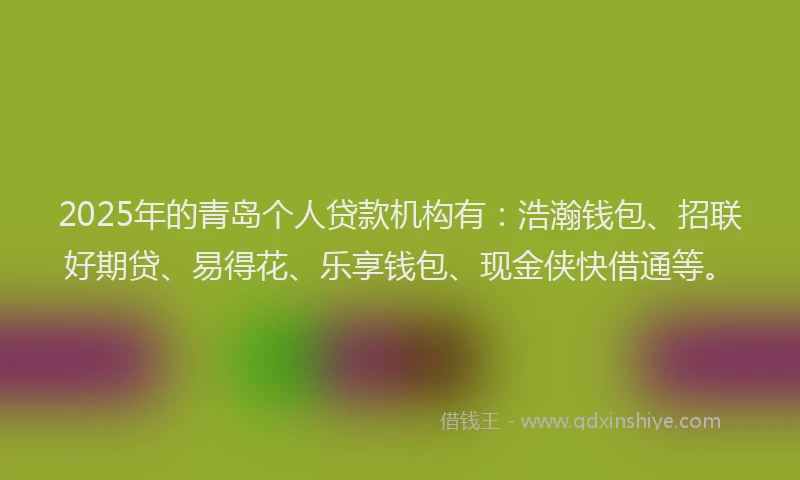 2025年的青岛个人贷款机构有：浩瀚钱包、招联好期贷、易得花、乐享钱包、现金侠快借通等。