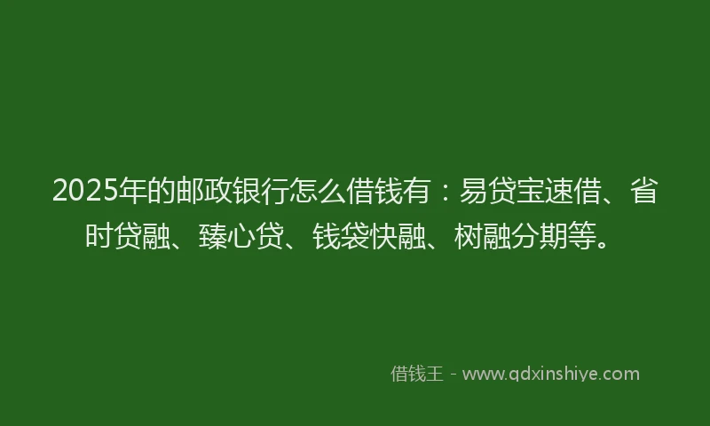 2025年的邮政银行怎么借钱有：易贷宝速借、省时贷融、臻心贷、钱袋快融、树融分期等。