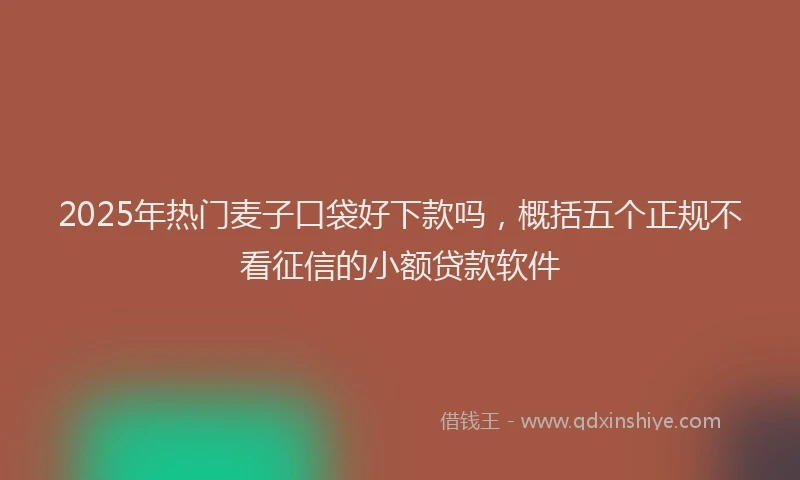 2025年热门麦子口袋好下款吗，概括五个正规不看征信的小额贷款软件