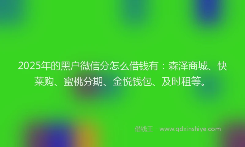 2025年的黑户微信分怎么借钱有：森泽商城、快莱购、蜜桃分期、金悦钱包、及时租等。
