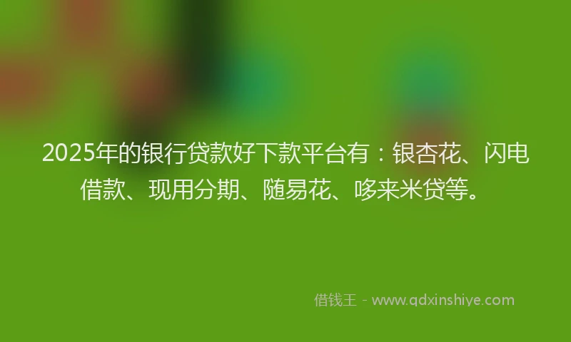 2025年的银行贷款好下款平台有：银杏花、闪电借款、现用分期、随易花、哆来米贷等。