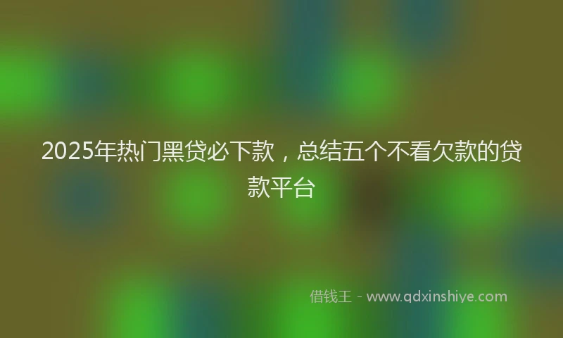 2025年热门黑贷必下款，总结五个不看欠款的贷款平台