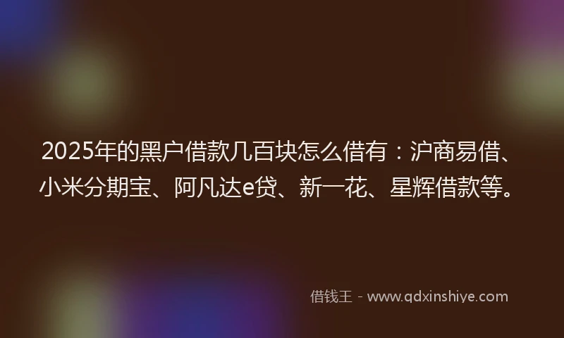 2025年的黑户借款几百块怎么借有：沪商易借、小米分期宝、阿凡达e贷、新一花、星辉借款等。