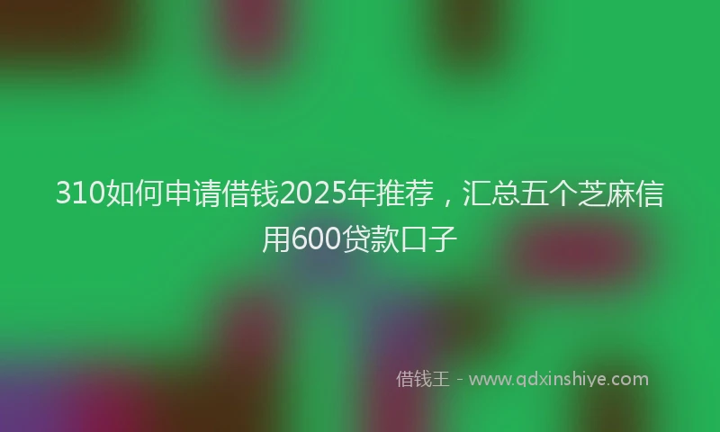310如何申请借钱2025年推荐，汇总五个芝麻信用600贷款口子