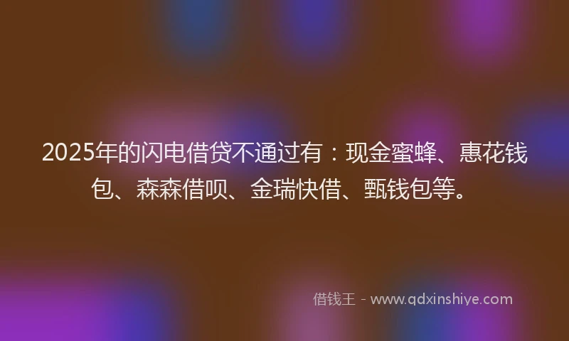 2025年的闪电借贷不通过有：现金蜜蜂、惠花钱包、森森借呗、金瑞快借、甄钱包等。