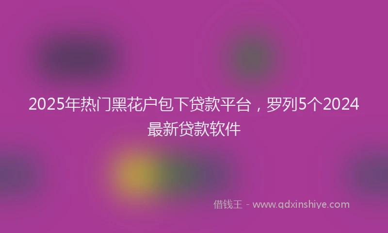 2025年热门黑花户包下贷款平台，罗列5个2024最新贷款软件