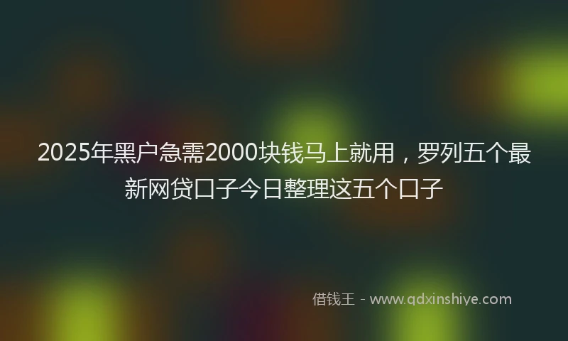 2025年黑户急需2000块钱马上就用，罗列五个最新网贷口子今日整理这五个口子