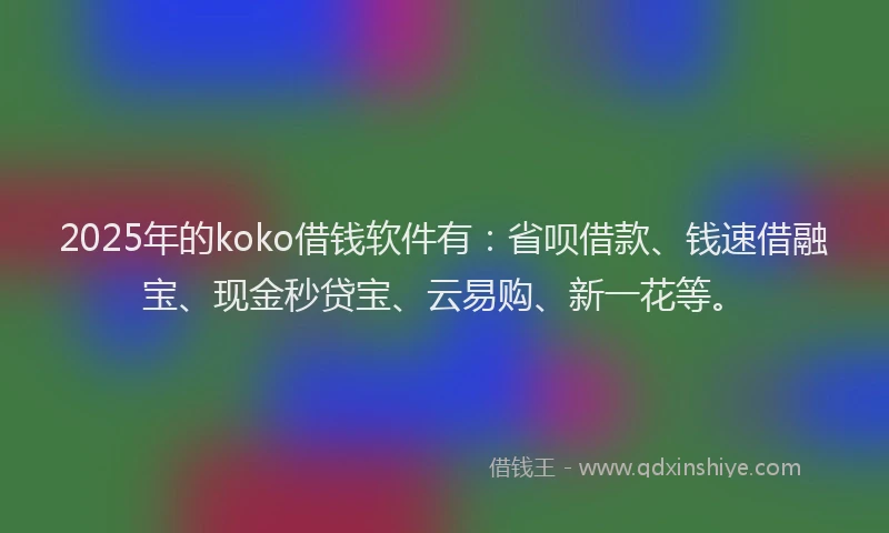2025年的koko借钱软件有：省呗借款、钱速借融宝、现金秒贷宝、云易购、新一花等。