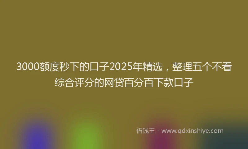 3000额度秒下的口子2025年精选，整理五个不看综合评分的网贷百分百下款口子