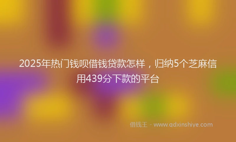 2025年热门钱呗借钱贷款怎样,归纳5个芝麻信用439分下款的平台