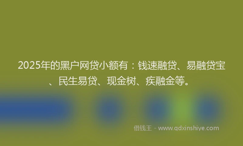 2025年的黑户网贷小额有：钱速融贷、易融贷宝、民生易贷、现金树、疾融金等。