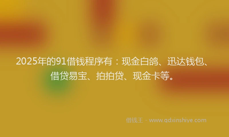 2025年的91借钱程序有：现金白鸽、迅达钱包、借贷易宝、拍拍贷、现金卡等。