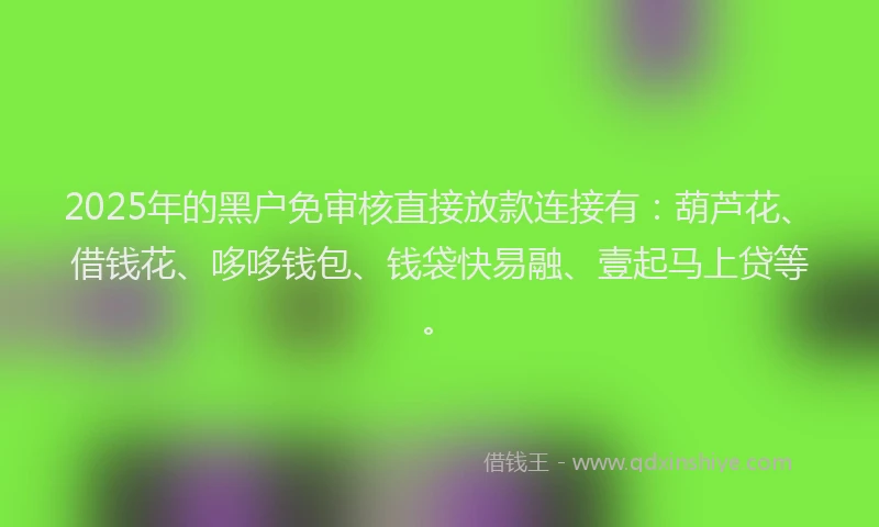 2025年的黑户免审核直接放款连接有：葫芦花、借钱花、哆哆钱包、钱袋快易融、壹起马上贷等。