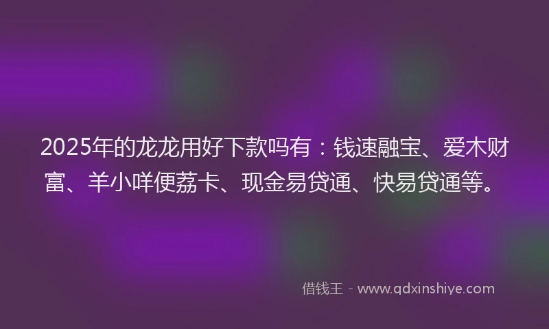 2025年的龙龙用好下款吗有：钱速融宝、爱木财富、羊小咩便荔卡、现金易贷通、快易贷通等。