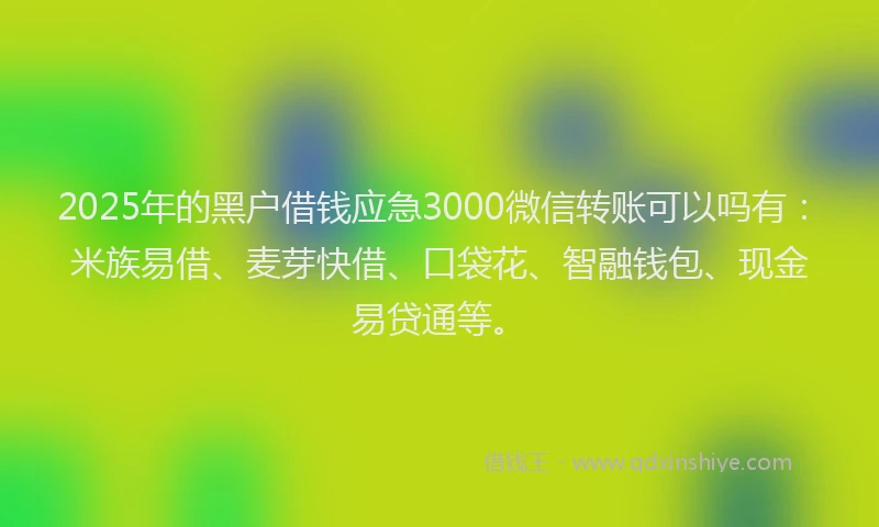 2025年的黑户借钱应急3000微信转账可以吗有:米族易借、麦芽快借、口袋花、智融钱包、现金易贷通等。