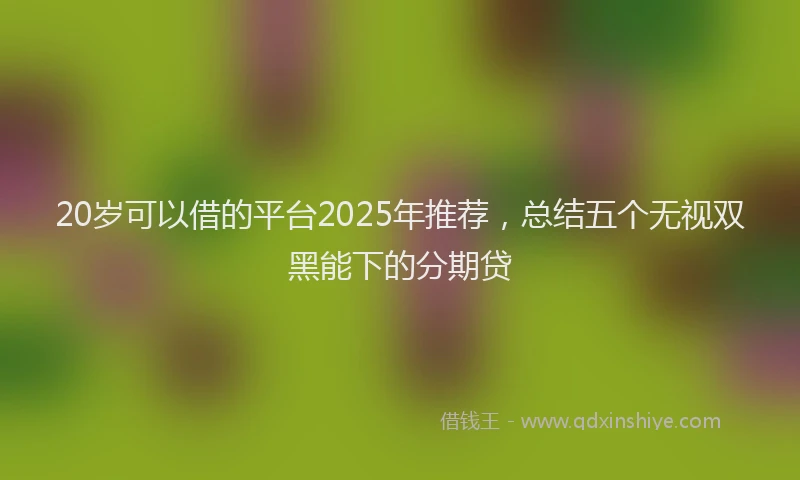 20岁可以借的平台2025年推荐，总结五个无视双黑能下的分期贷