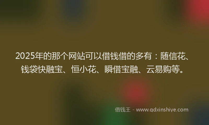 2025年的那个网站可以借钱借的多有：随信花、钱袋快融宝、恒小花、瞬借宝融、云易购等。