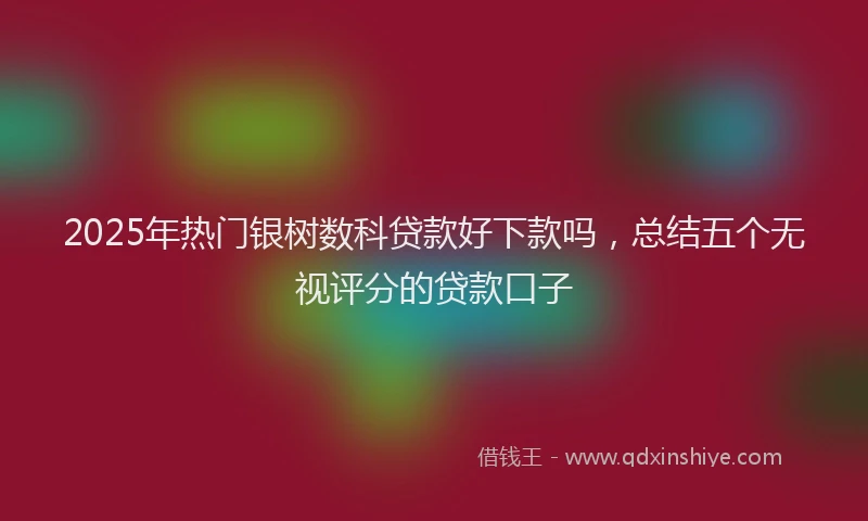 2025年热门银树数科贷款好下款吗，总结五个无视评分的贷款口子