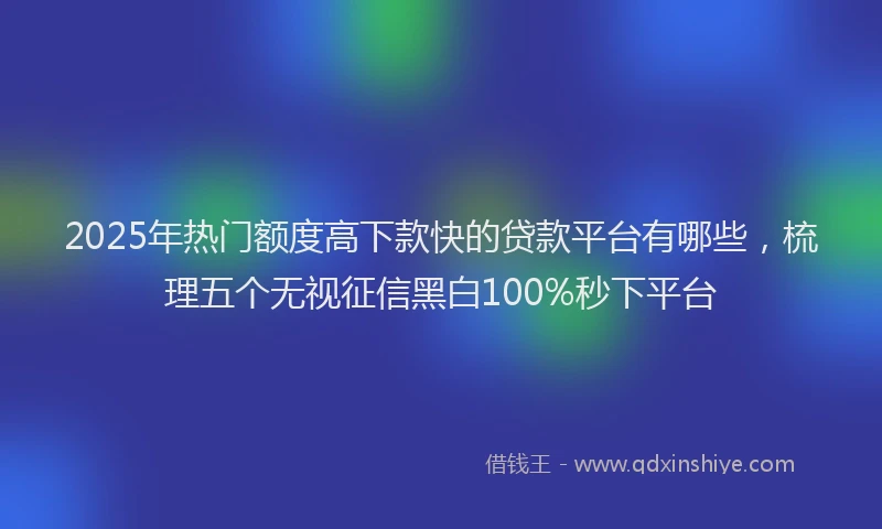 2025年热门额度高下款快的贷款平台有哪些，梳理五个无视征信黑白100%秒下平台