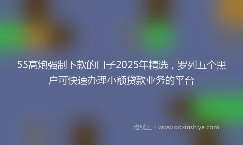 55高炮强制下款的口子2025年精选，罗列五个黑户可快速办理小额贷款业务的平台