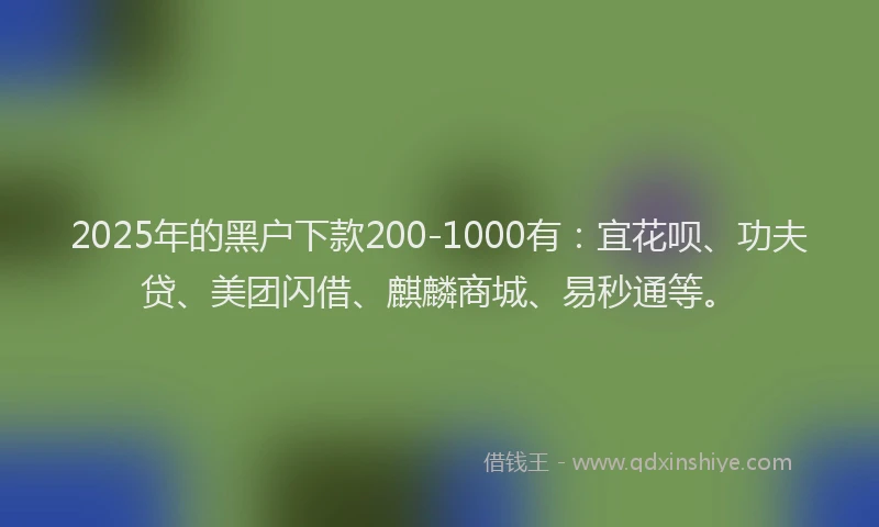 2025年的黑户下款200-1000有：宜花呗、功夫贷、美团闪借、麒麟商城、易秒通等。