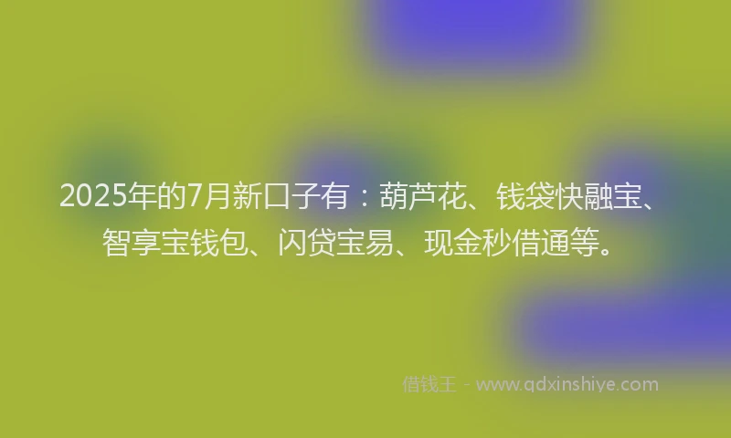 2025年的7月新口子有：葫芦花、钱袋快融宝、智享宝钱包、闪贷宝易、现金秒借通等。
