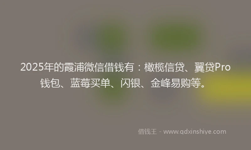 2025年的霞浦微信借钱有：橄榄信贷、翼贷Pro钱包、蓝莓买单、闪银、金峰易购等。