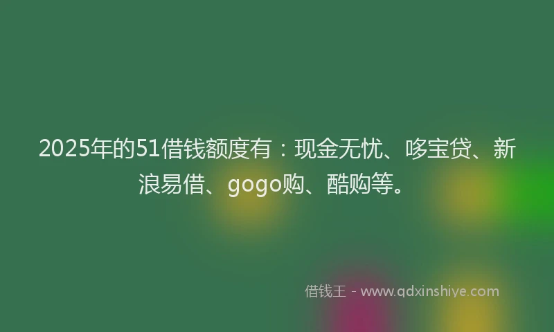 2025年的51借钱额度有：现金无忧、哆宝贷、新浪易借、gogo购、酷购等。