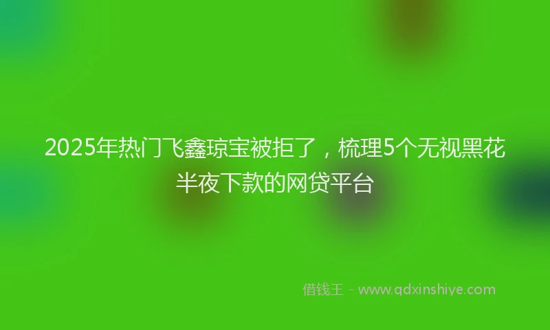 2025年热门飞鑫琼宝被拒了，梳理5个无视黑花半夜下款的网贷平台
