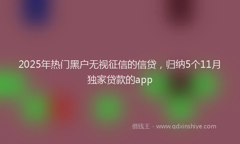 2025年热门黑户无视征信的信贷，归纳5个11月独家贷款的app