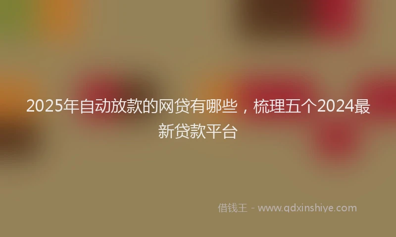 2025年自动放款的网贷有哪些，梳理五个2024最新贷款平台