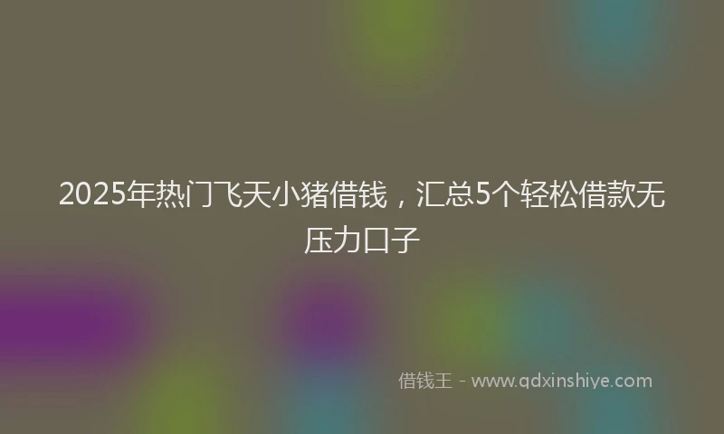 2025年热门飞天小猪借钱,汇总5个轻松借款无压力口子
