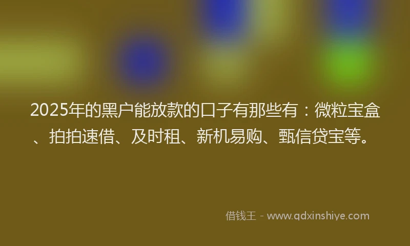 2025年的黑户能放款的口子有那些有：微粒宝盒、拍拍速借、及时租、新机易购、甄信贷宝等。