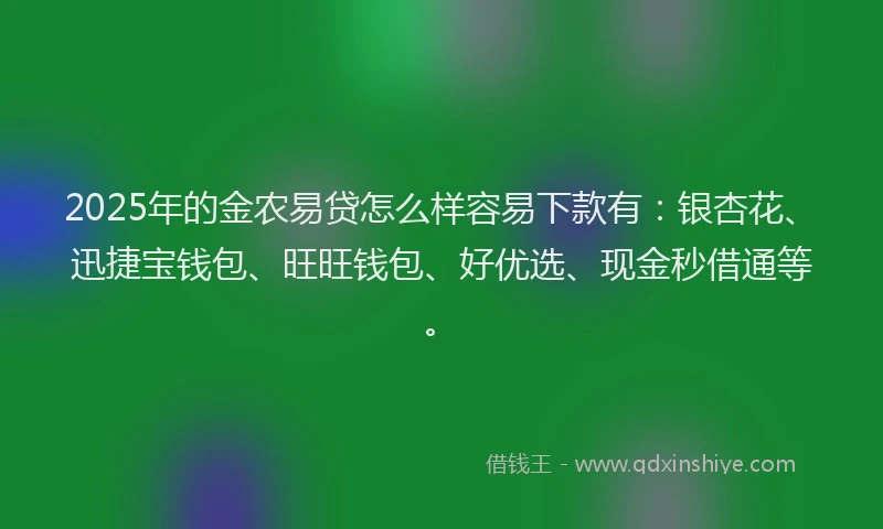 2025年的金农易贷怎么样容易下款有：银杏花、迅捷宝钱包、旺旺钱包、好优选、现金秒借通等。