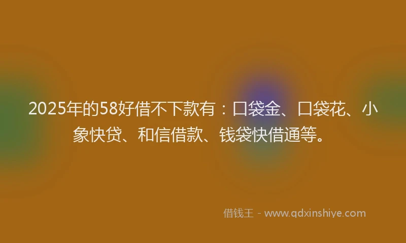 2025年的58好借不下款有：口袋金、口袋花、小象快贷、和信借款、钱袋快借通等。