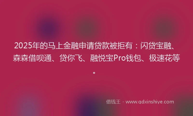 2025年的马上金融申请贷款被拒有：闪贷宝融、森森借呗通、贷你飞、融悦宝Pro钱包、极速花等。