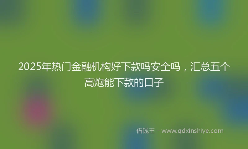 2025年热门金融机构好下款吗安全吗，汇总五个高炮能下款的口子
