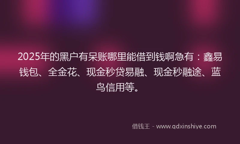 2025年的黑户有呆账哪里能借到钱啊急有：鑫易钱包、全金花、现金秒贷易融、现金秒融途、蓝鸟信用等。