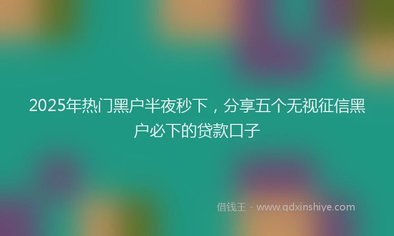 2025年热门黑户半夜秒下，分享五个无视征信黑户必下的贷款口子