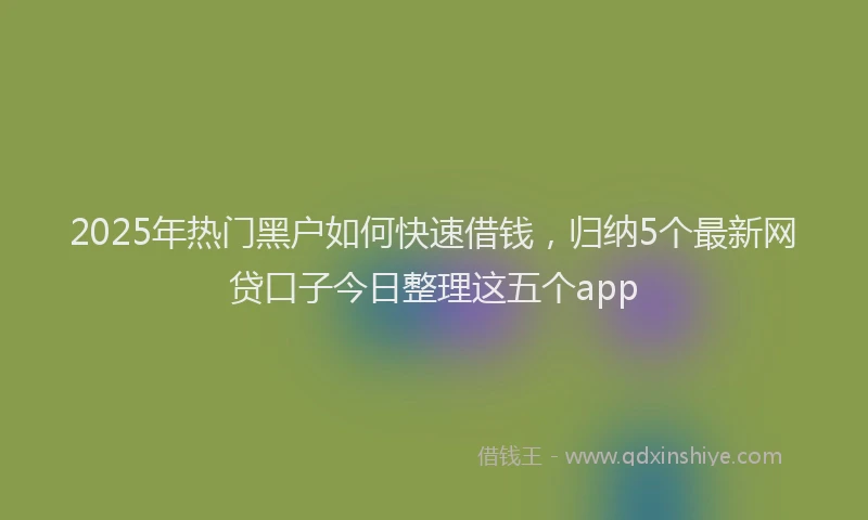 2025年热门黑户如何快速借钱,归纳5个最新网贷口子今日整理这五个app