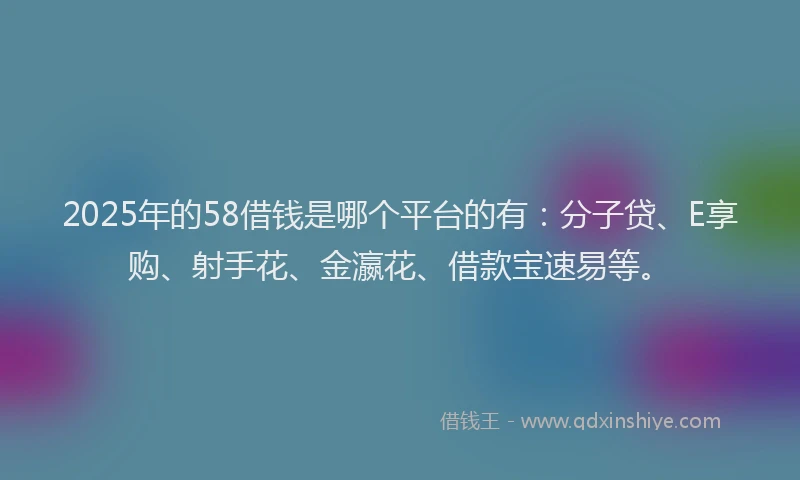 2025年的58借钱是哪个平台的有：分子贷、E享购、射手花、金瀛花、借款宝速易等。