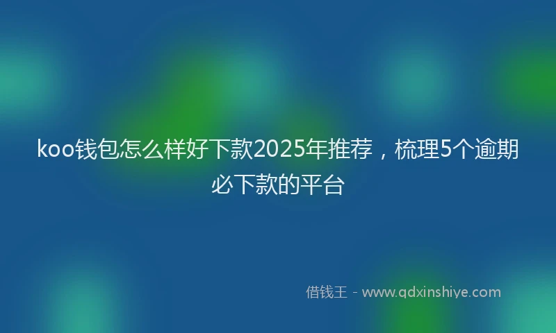 koo钱包怎么样好下款2025年推荐，梳理5个逾期必下款的平台
